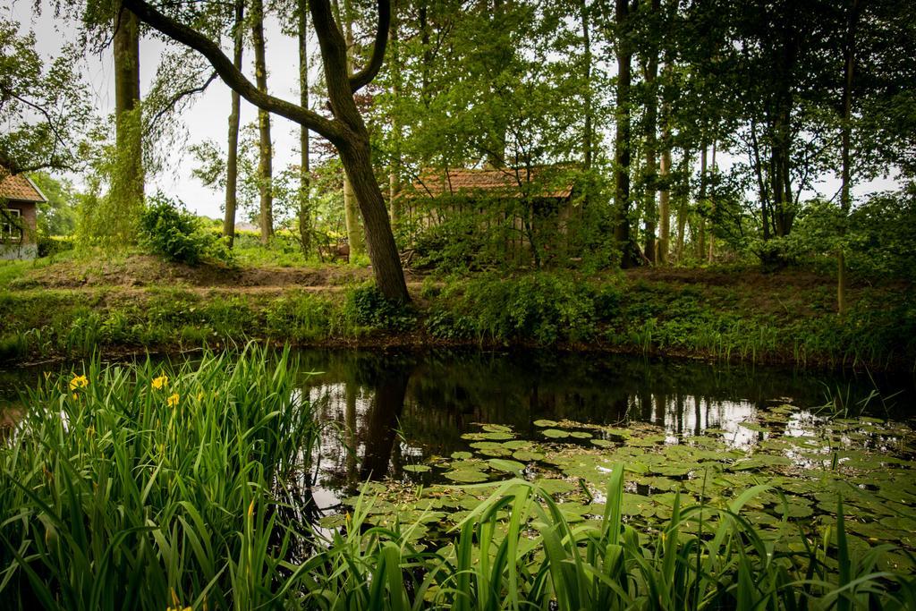 Thil'S Bed And Breakfast Ambt Delden Exteriör bild