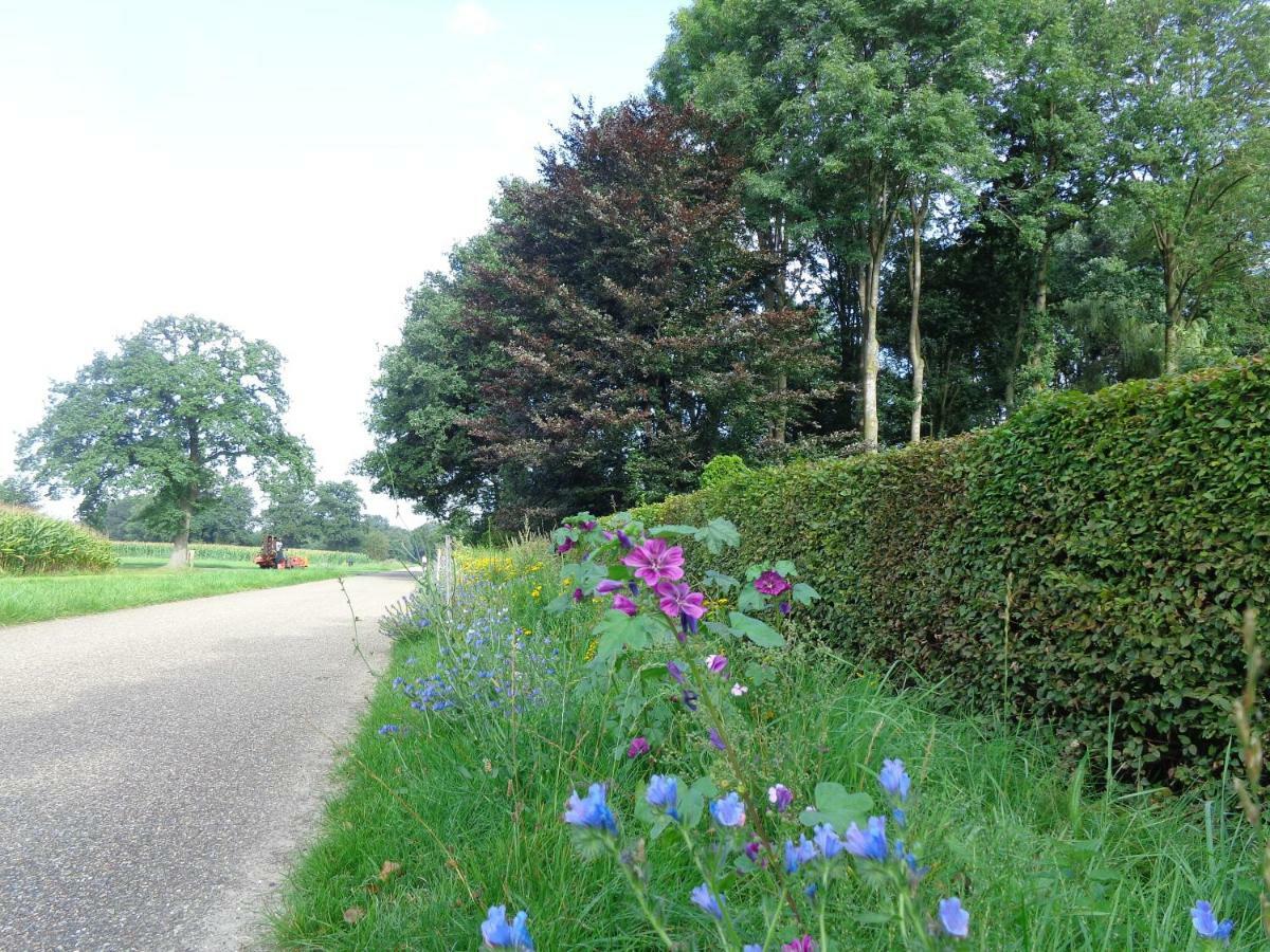 Thil'S Bed And Breakfast Ambt Delden Exteriör bild